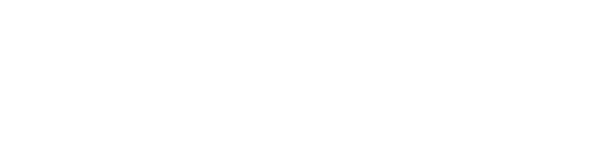 Vision Plus